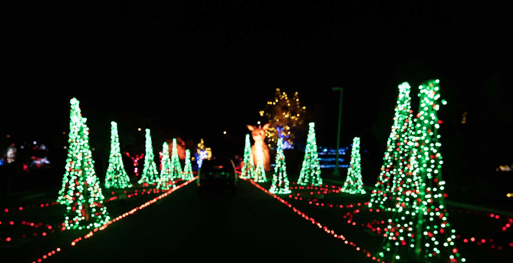 Saddleback Church Christmas 2022 Light Of The World