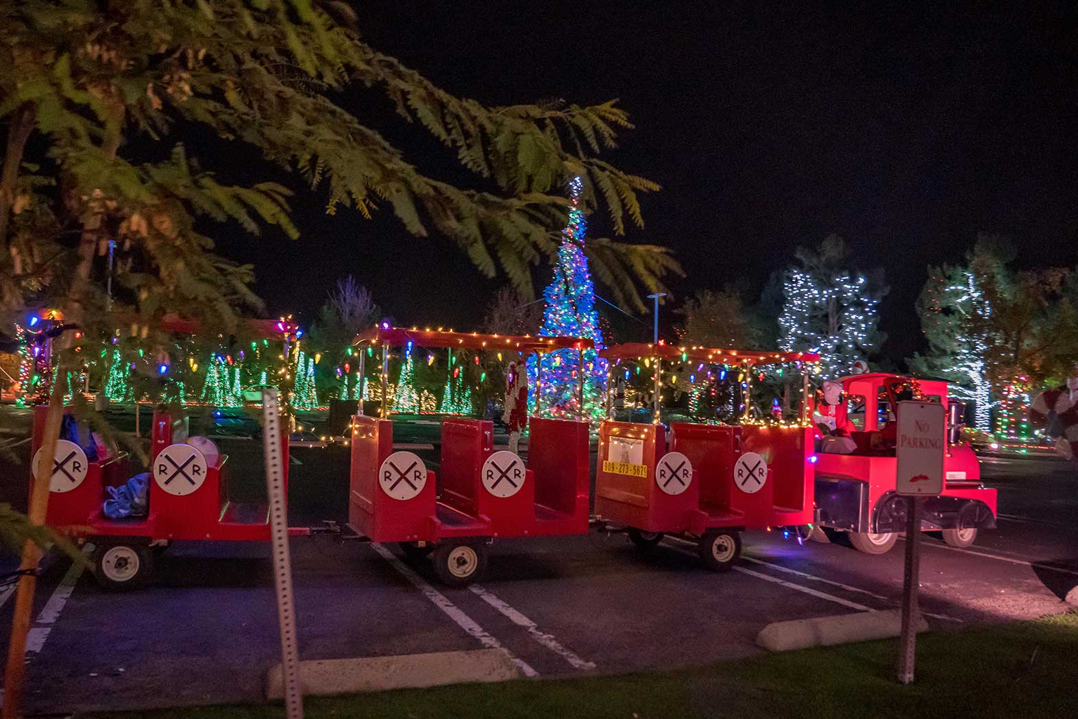 Saddleback Church Christmas 2022 Light Of The World