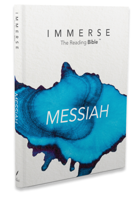 Immerse Reading Bible Image